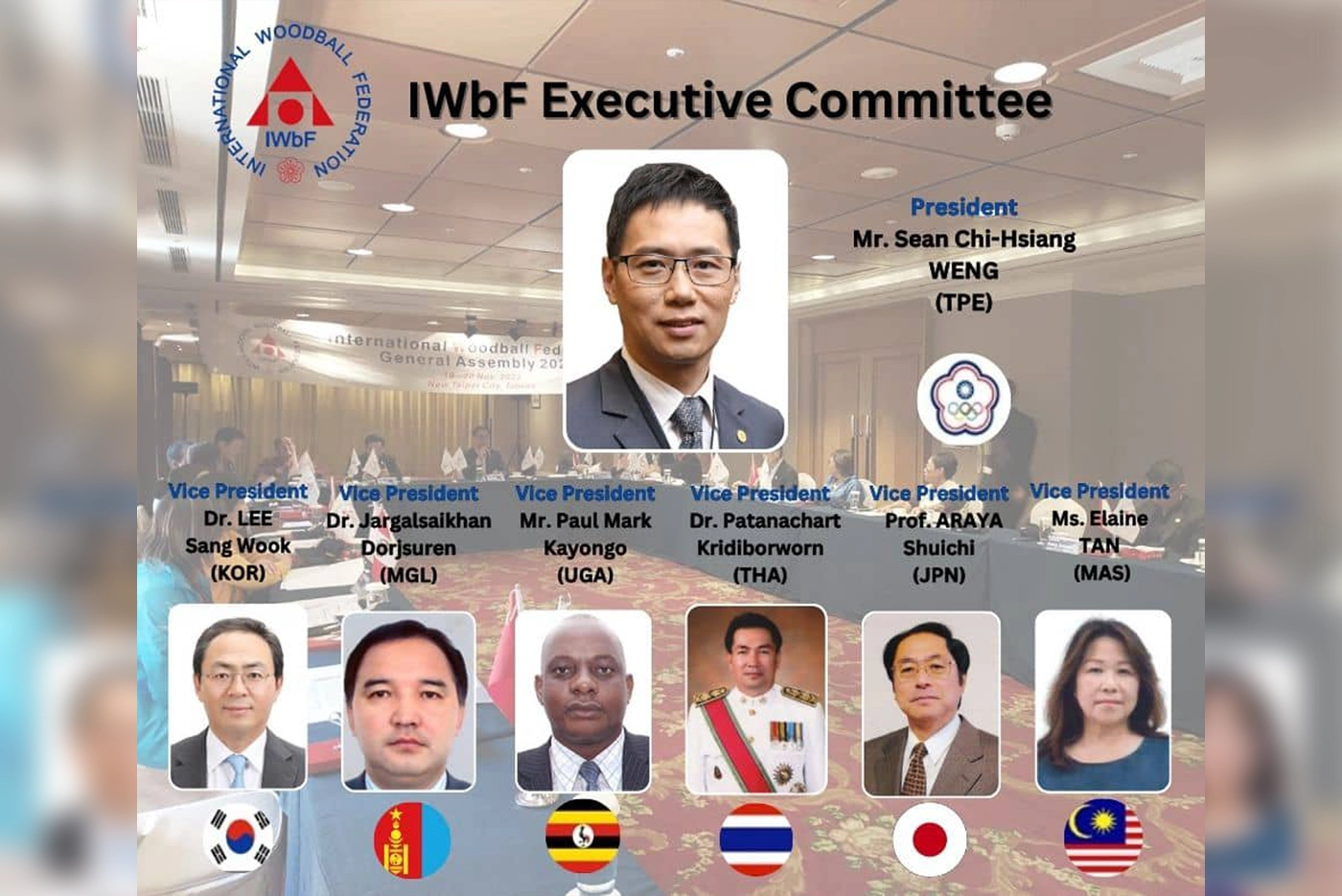 Vice President at International Woodball Federation